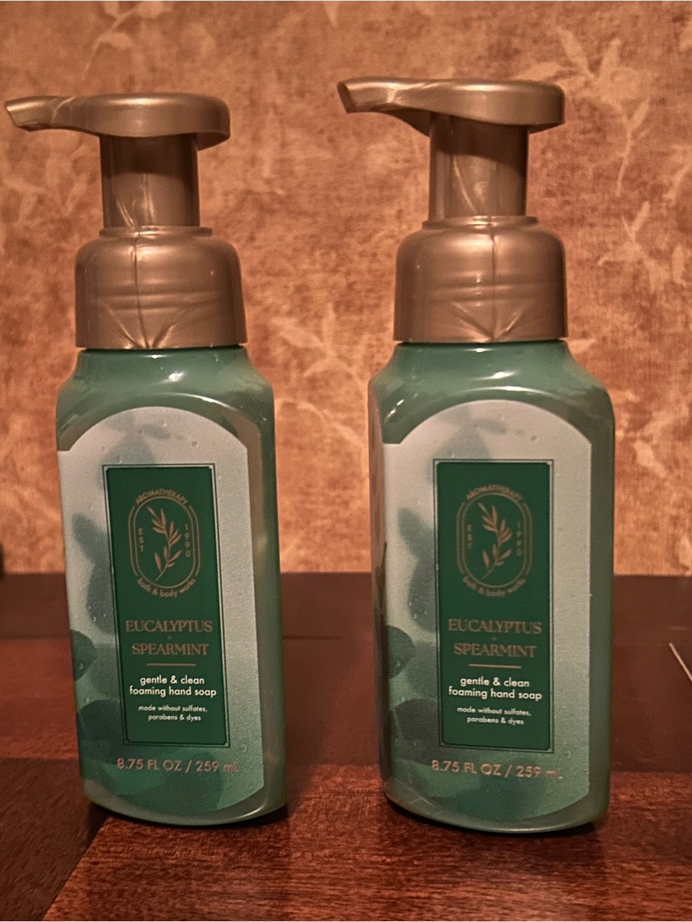 Eucalyptus Spearmint Foaming Hand Soap Duo